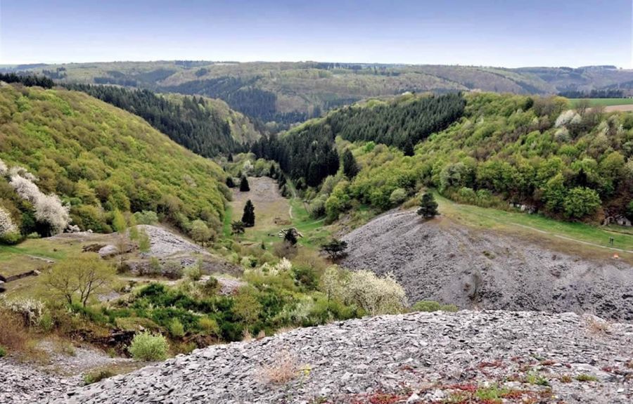 Kaulenbachtal Ortsgemeinde Leienkaul